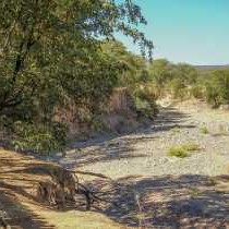 Kaoko Mopane Lodge & Campsite Area