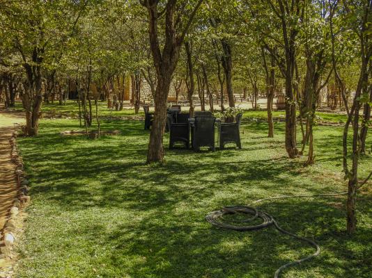 Kaoko Mopane Lodge & Campsite Garden