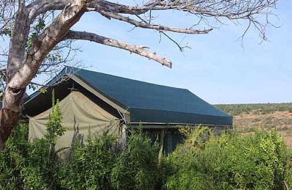 Safari Tent