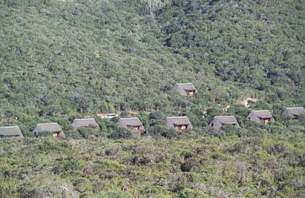 Addo Elephant Park Matyholweni Camp