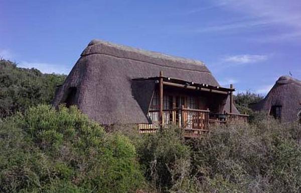 Addo Elephant Park Matyholweni Camp