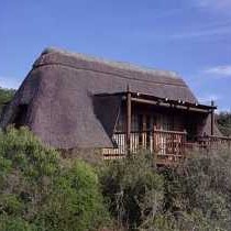 Addo Elephant Park Matyholweni Camp