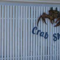 Crab Shack - 154989