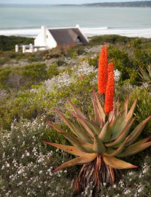 Oystercatcher Trail Accommodation - 155327