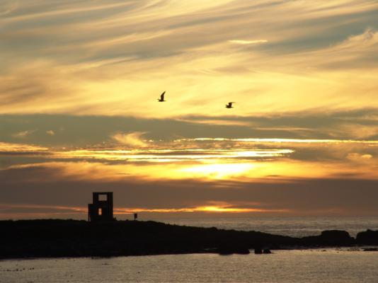 Baviana Beach Lodge - Jacobs Bay - Jacobsbaai - 155750