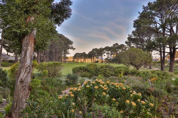 Hermanus Lodge on the Green - 157047