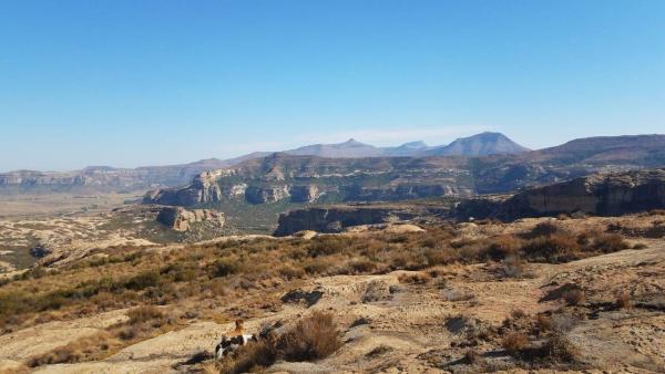 Thaba Thabo Nature Reserve - 157381