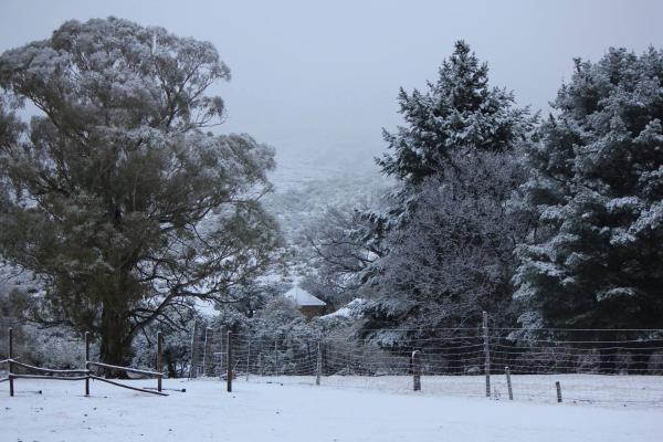 Thaba Thabo Nature Reserve - 157390