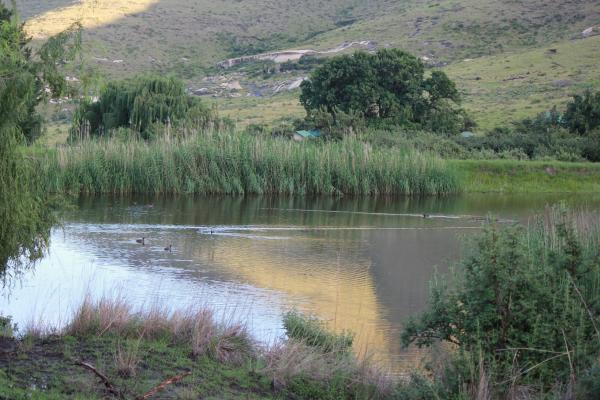 Thaba Thabo Nature Reserve - 157396