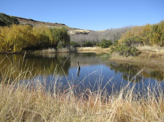 Thaba Thabo Nature Reserve - 157403