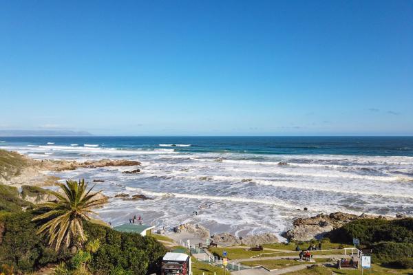 Hermanus Beachfront Lodge - 157409