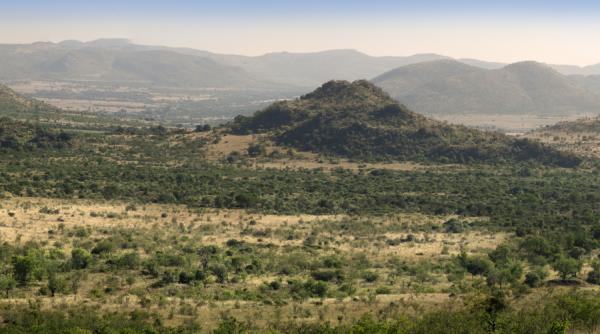 Bakubung Bush Lodge - 157502