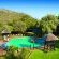 Bakubung Bush Lodge - 157511