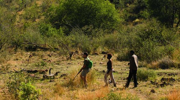 Bakubung Bush Lodge - 157518