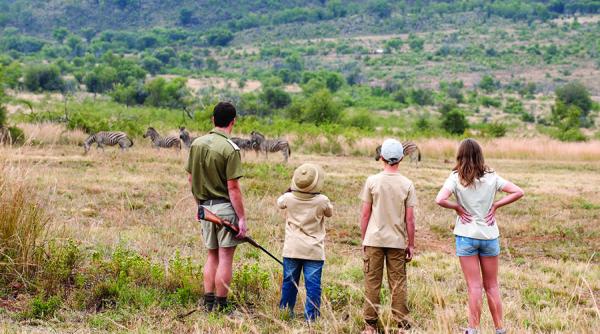 Bakubung Bush Lodge - 157522