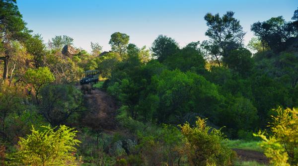 Kwa Maritane Bush Lodge - 157586