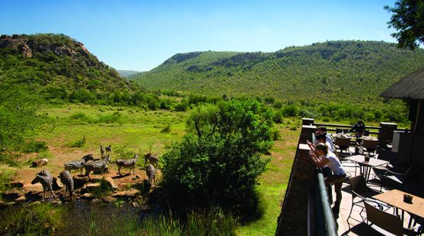 Kwa Maritane Bush Lodge - 157589