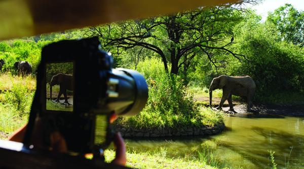 Kwa Maritane Bush Lodge - 157609