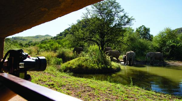 Kwa Maritane Bush Lodge - 157610