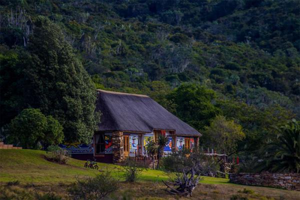 Addo Bush Palace Private Reserve - 157762