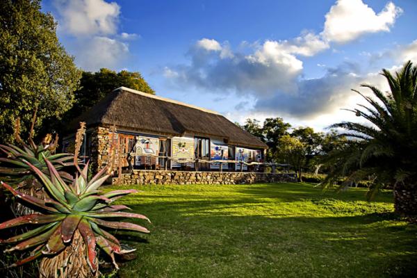 Addo Bush Palace Private Reserve - 157766