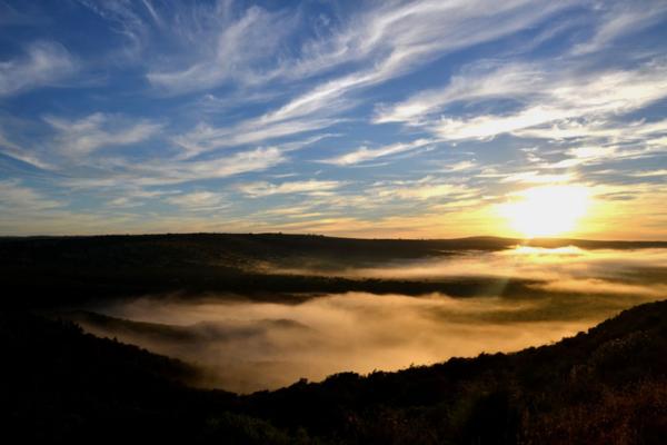 Addo Bush Palace Private Reserve - 157767