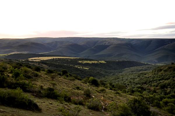 Addo Bush Palace Private Reserve - 157769