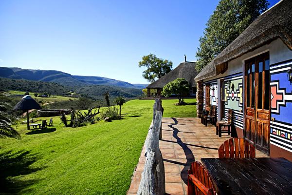 Addo Bush Palace Private Reserve - 157784