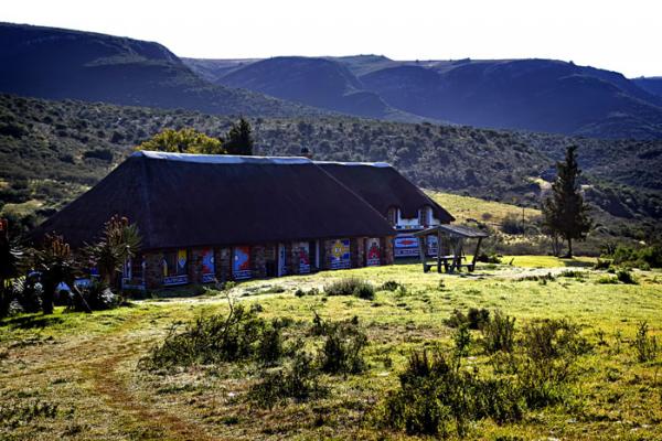 Addo Bush Palace Private Reserve - 157790