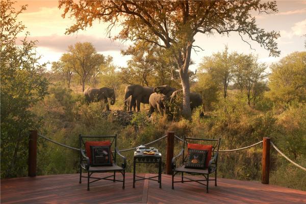 Hoyo Hoyo Safari Lodge - 157808