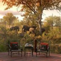 Hoyo Hoyo Safari Lodge - 157808