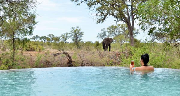 Hoyo Hoyo Safari Lodge - 157809