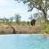Hoyo Hoyo Safari Lodge - 157809
