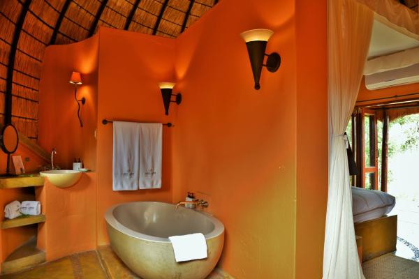 Hoyo Hoyo Safari Lodge - 157813