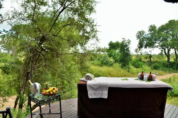 Hoyo Hoyo Safari Lodge - 157822