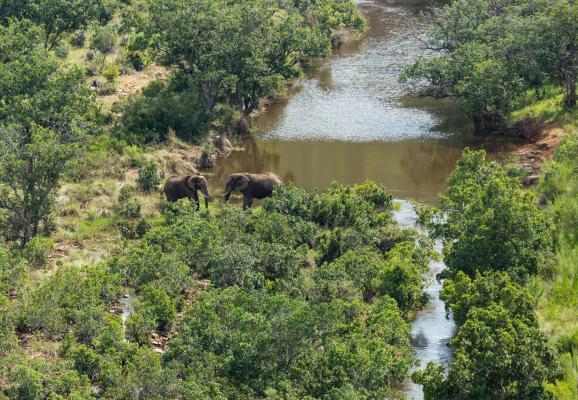 Clifftop Exclusive Safari Hideaway - 157848