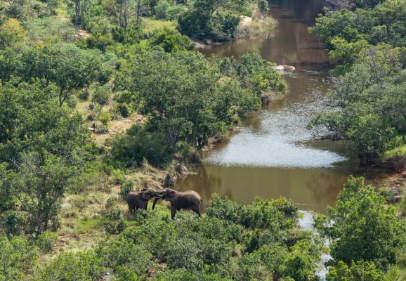 Clifftop Exclusive Safari Hideaway - 157851