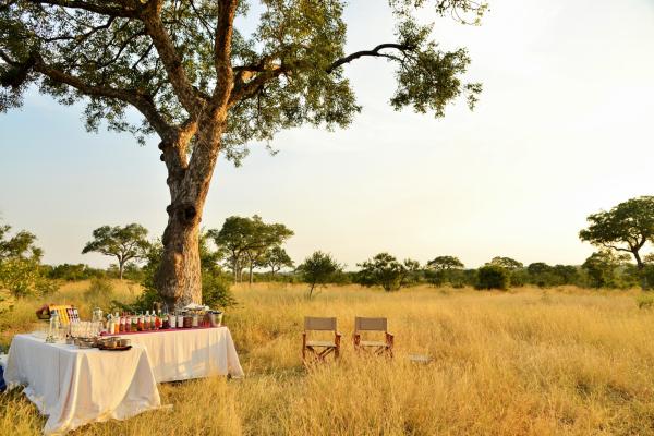 Hamiltons Tented Camp - 157884