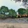 Hamiltons Tented Camp - 157888