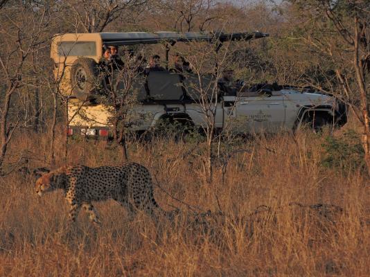 Hamiltons Tented Camp - 157889