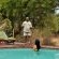 Hamiltons Tented Camp - 157908