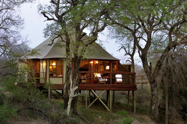 Hamiltons Tented Camp - 157910