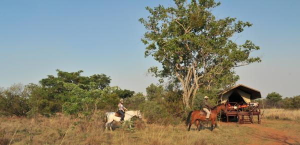 Kwafubesi Tented Safari Camp - 157998