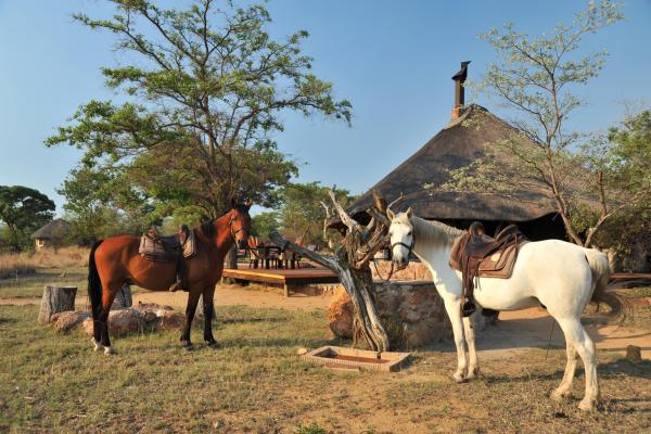 Kwafubesi Tented Safari Camp - 158010