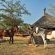 Kwafubesi Tented Safari Camp - 158010