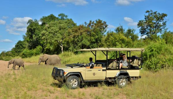 Imbali Safari Lodge - 158035