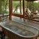 Imbali Safari Lodge - 158038