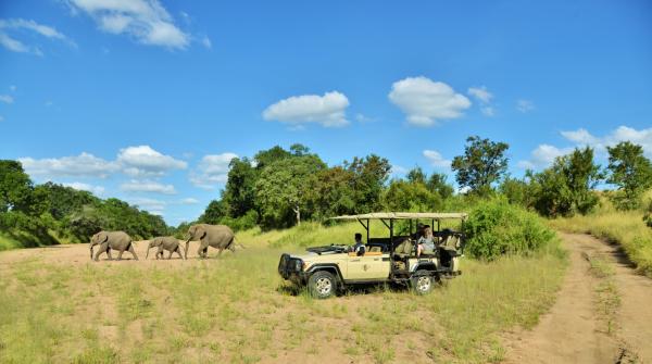 Imbali Safari Lodge - 158039