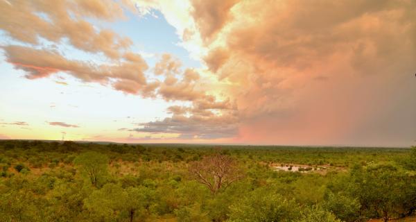 Victoria Falls Safari Lodge - 158265