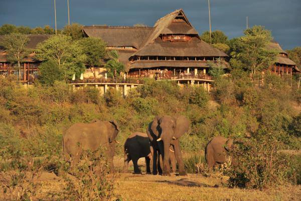 Victoria Falls Safari Lodge - 158283